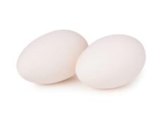 Goose Egg 5 Pack