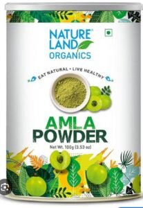 NAT LAND AMLA POWDER 100 GM