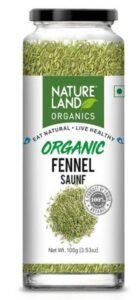 NAT LAND FENNEL SAUNF 100 GM
