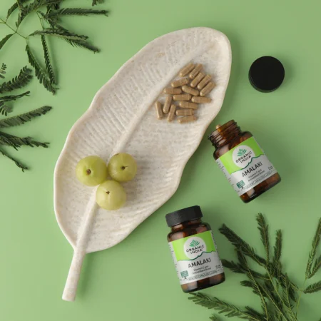 ORG IND AMALAKI 60TAB