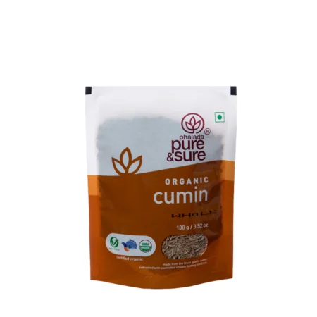 PS CUMIN WHOLE100GM