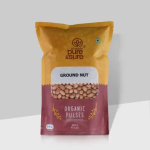 PS GROUND NUT500GM