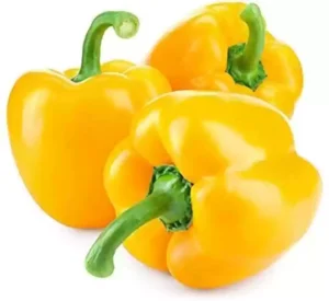 CAPSICUM YELLOW