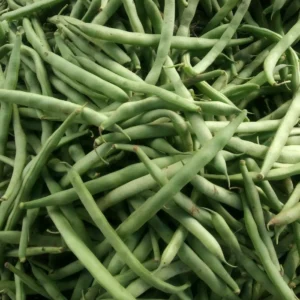 VEG BEANS NATTI