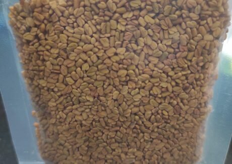 VAYAL FENUGREEK SEEDS 100 GM